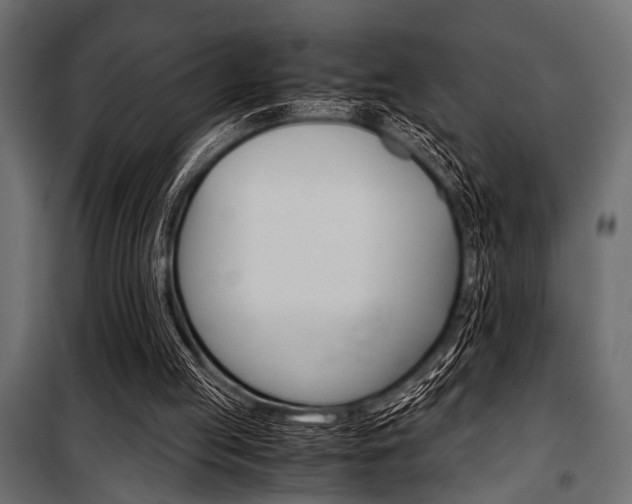 X0000100880053200806201156