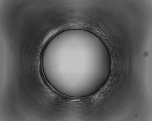 X0000100880054200806201156