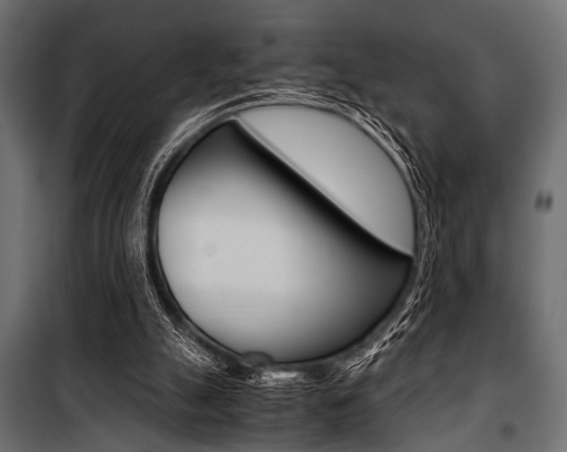 X0000100880055200806201156