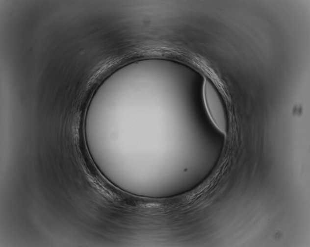 X0000100880058200806201156