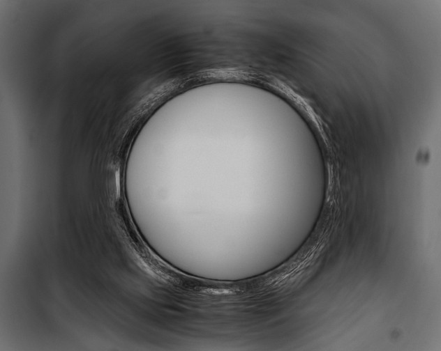 X0000100880061200806201156