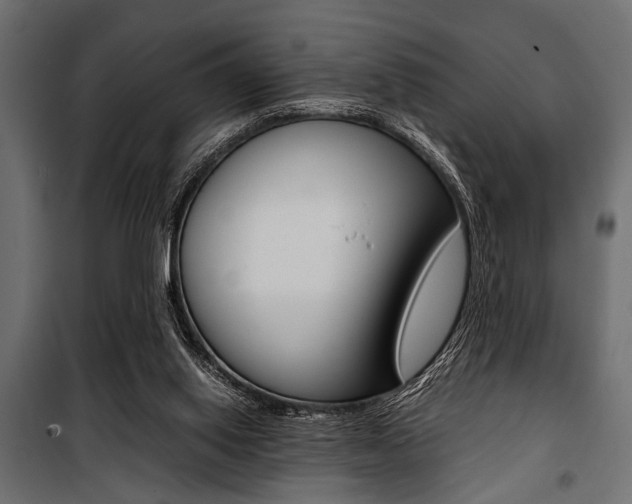 X0000100880062200806201156