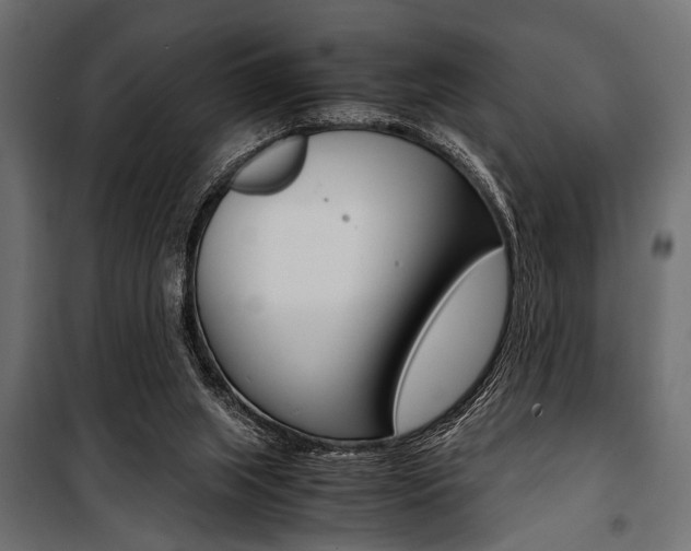 X0000100880063200806201156