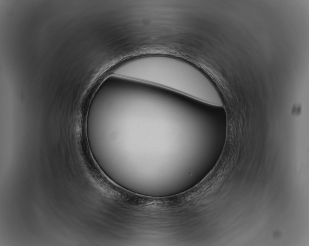 X0000100880064200806201156