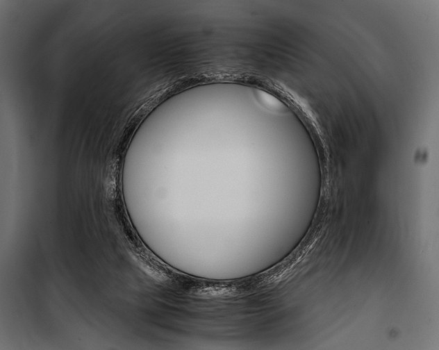 X0000100880065200806201156