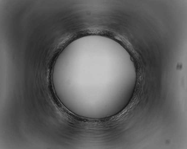 X0000100880066200806201156