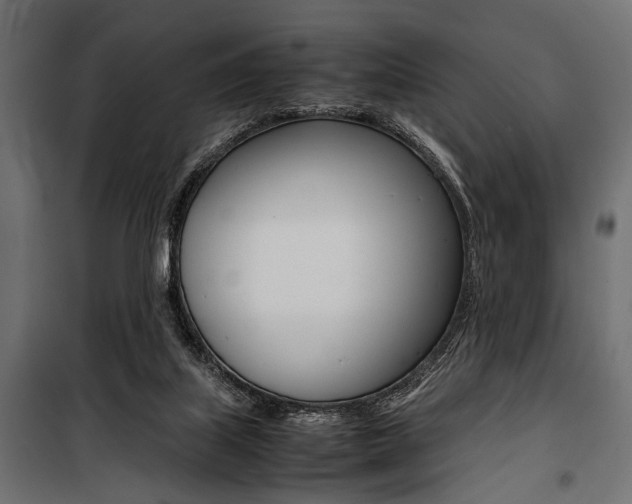 X0000100880067200806201156
