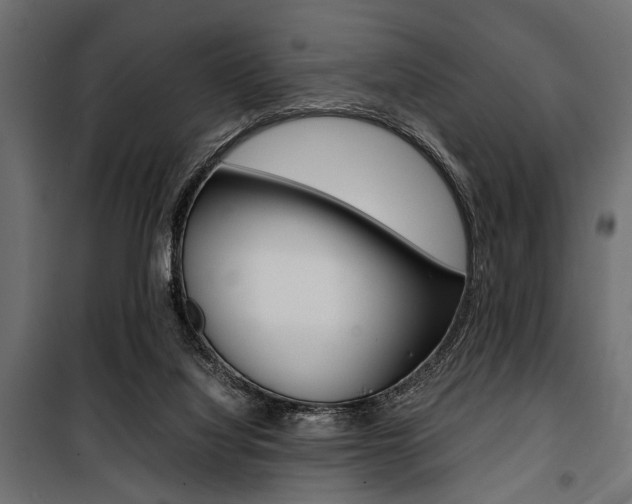 X0000100880068200806201156