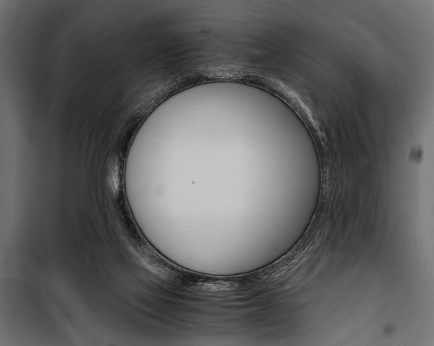 X0000100880069200806201156