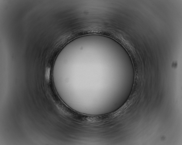 X0000100880070200806201156