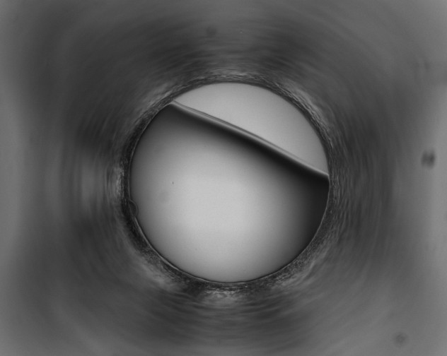 X0000100880071200806201157