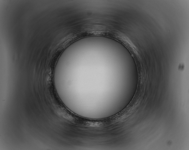 X0000100880073200806201157
