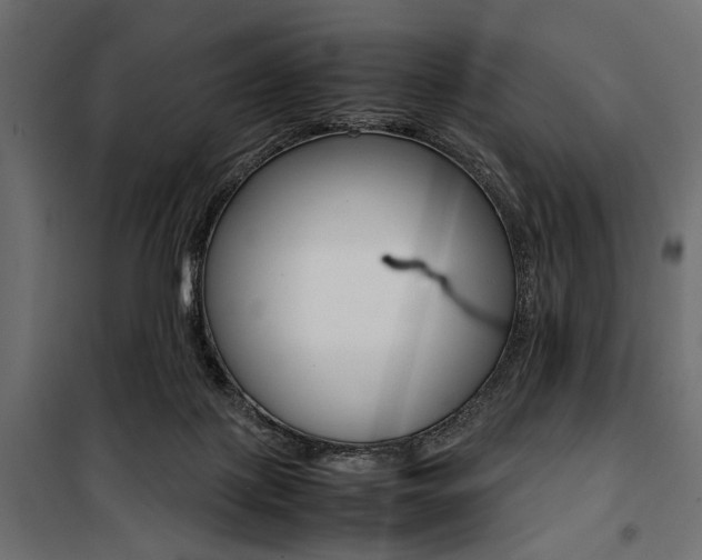 X0000100880075200806201157