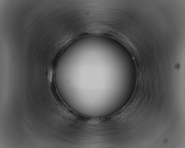 X0000100880076200806201157
