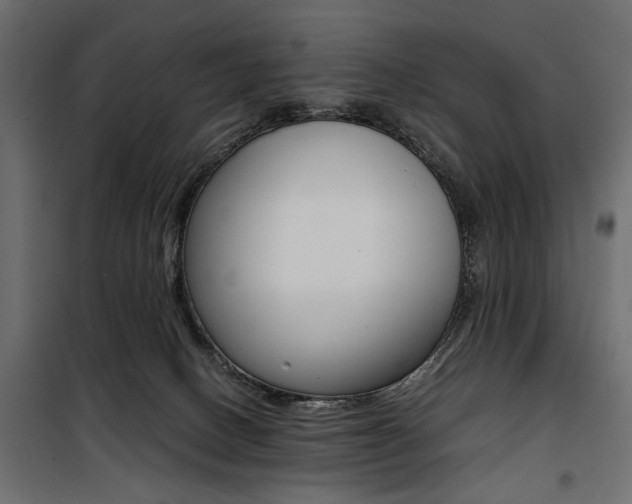 X0000100880082200806201157