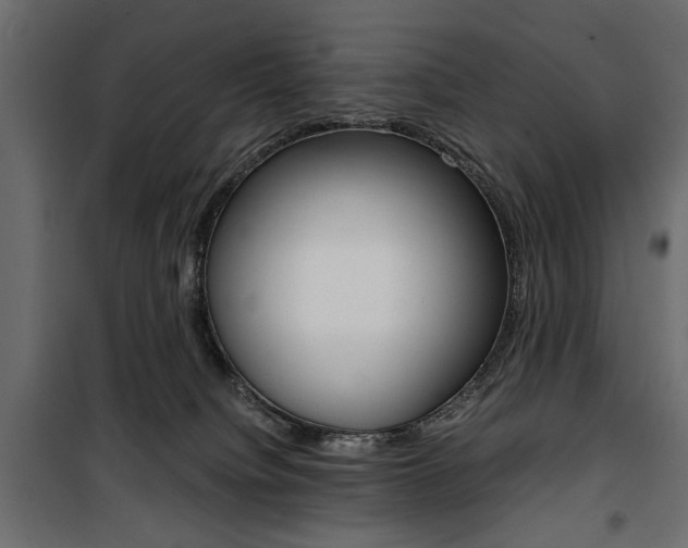 X0000100880084200806201157