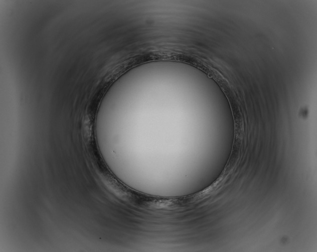 X0000100880086200806201157