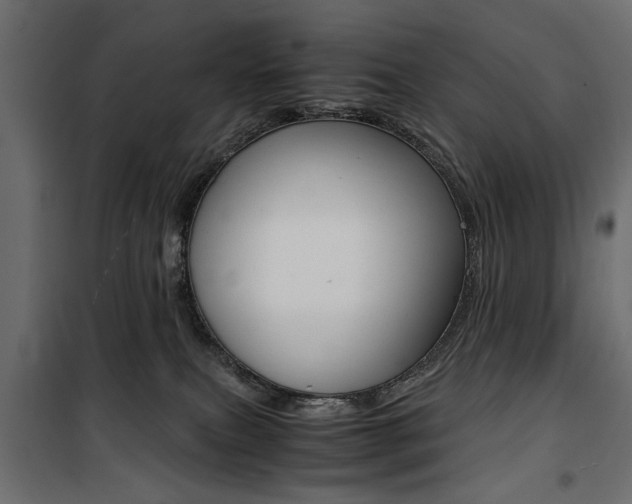 X0000100880087200806201157