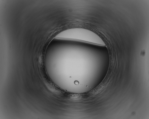 X0000100880088200806201157
