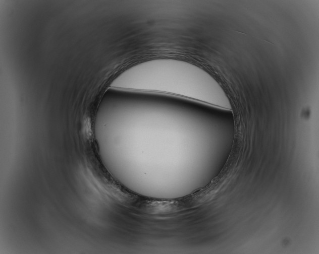 X0000100880089200806201157