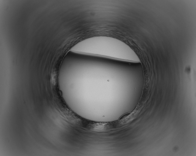 X0000100880090200806201157