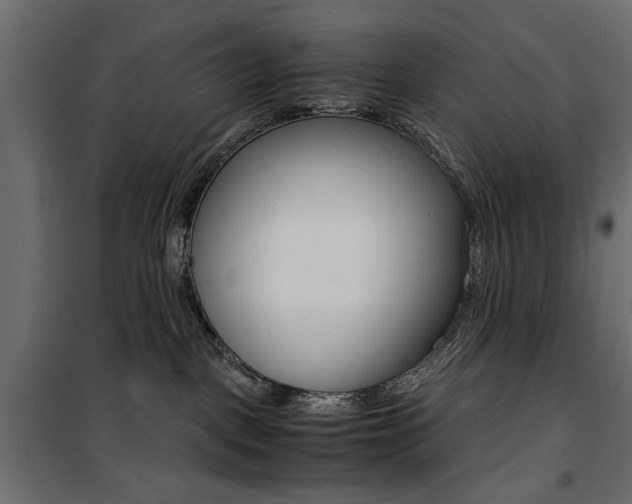 X0000100880093200806201157