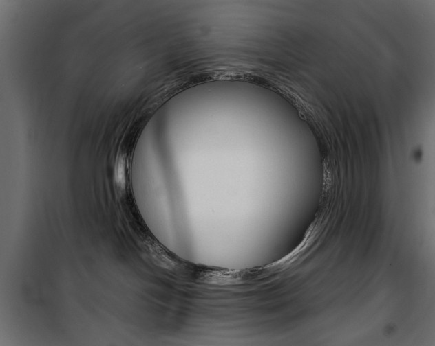 X0000100880094200806201157