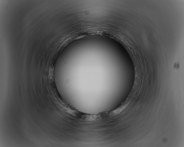 X0000100880096200806201157
