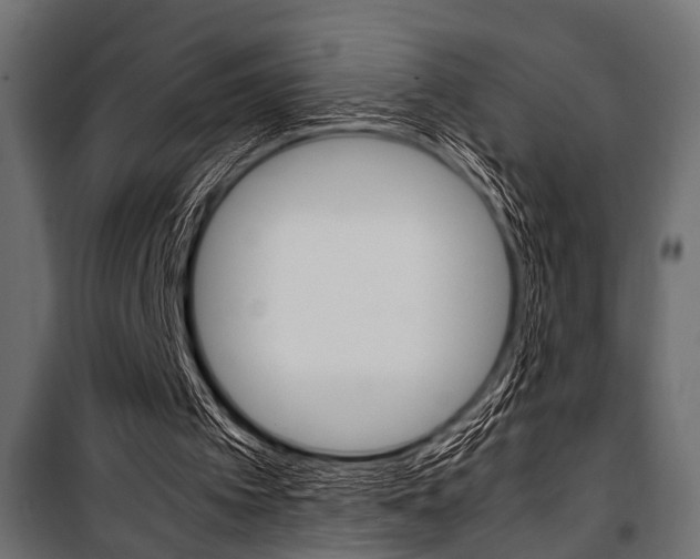 X0000100880097200806201156