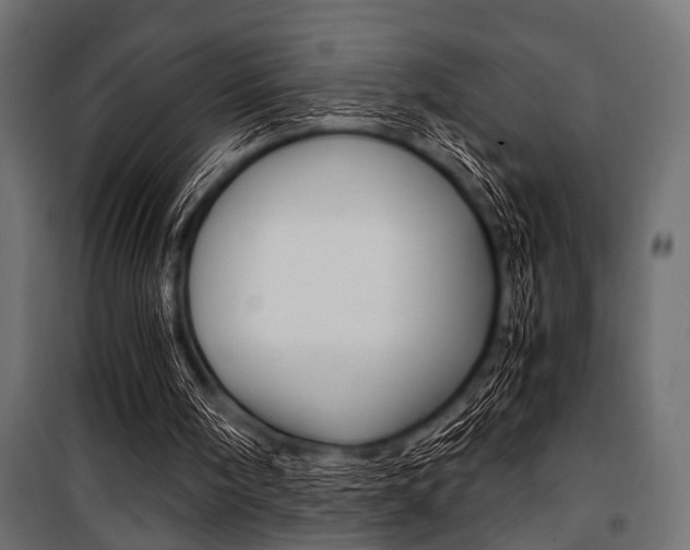 X0000100880098200806201156