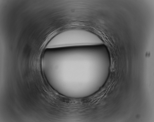 X0000100880099200806201156