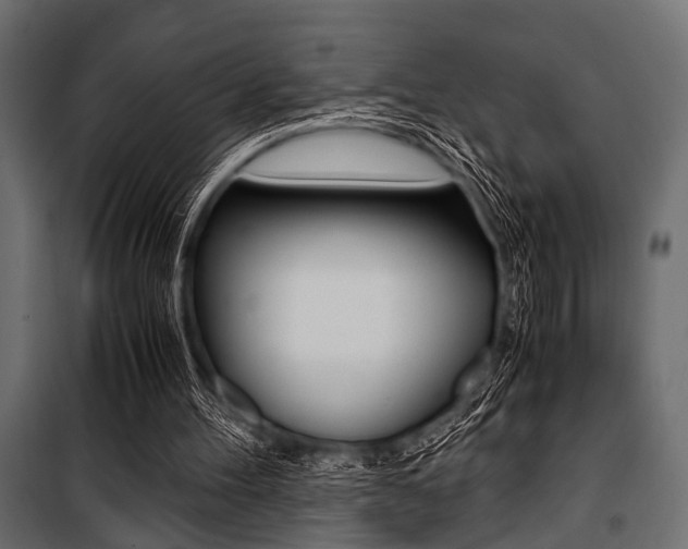 X0000100880100200806201156
