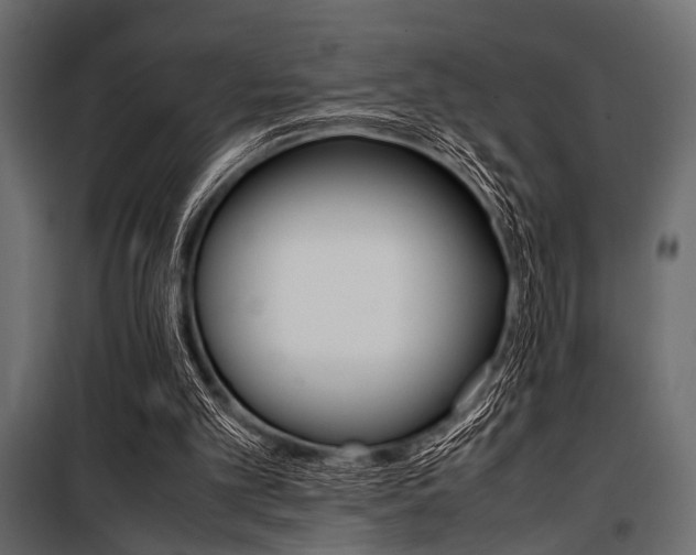X0000100880101200806201156