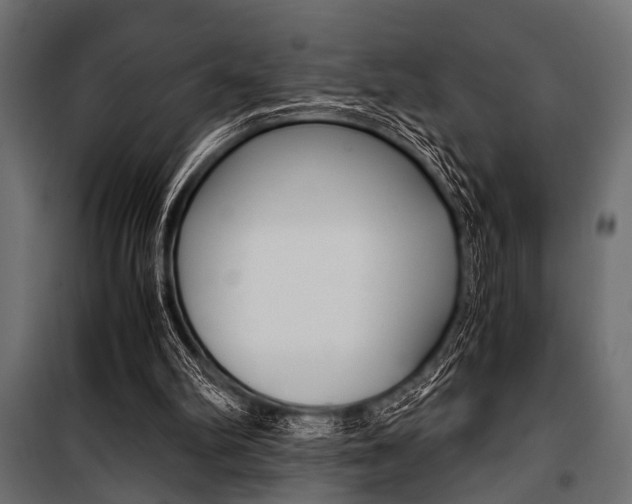X0000100880102200806201156
