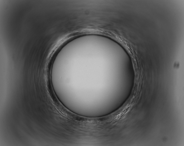 X0000100880103200806201156