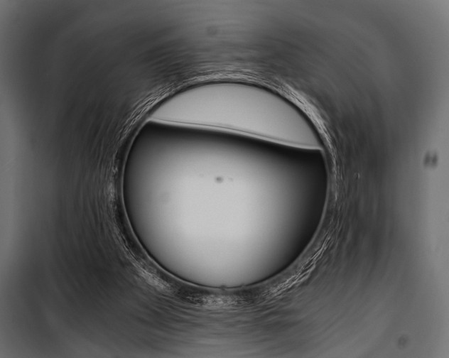 X0000100880105200806201156