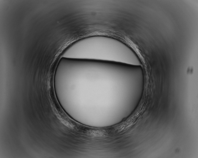 X0000100880106200806201156