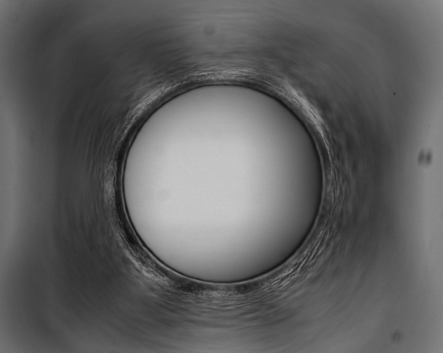 X0000100880107200806201156