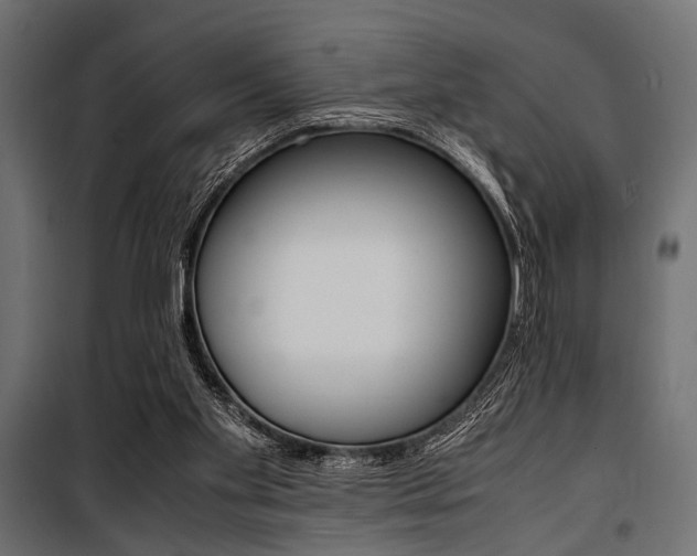X0000100880109200806201156