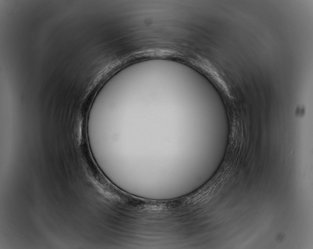 X0000100880110200806201156