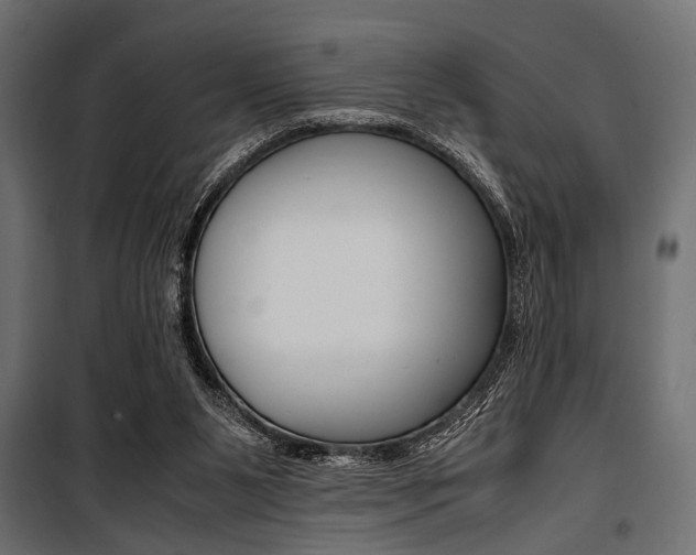 X0000100880111200806201156