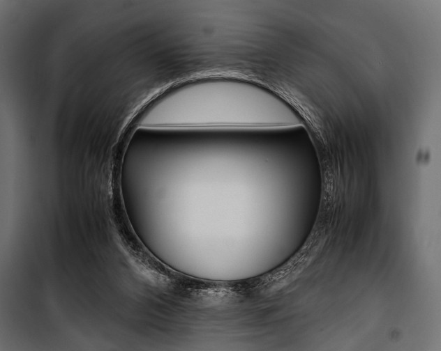 X0000100880112200806201156