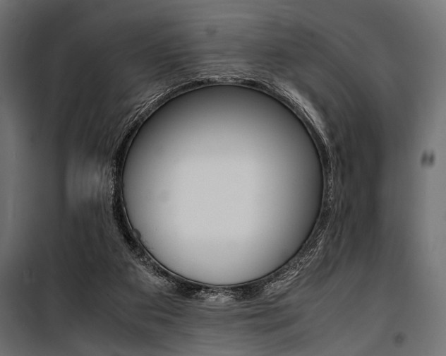 X0000100880113200806201156