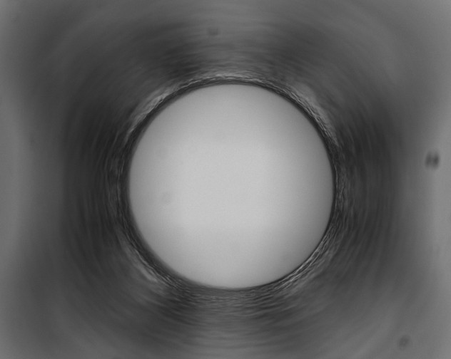 X0000100880116200806201156