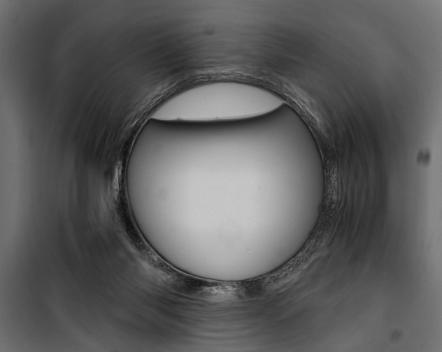 X0000100880118200806201156
