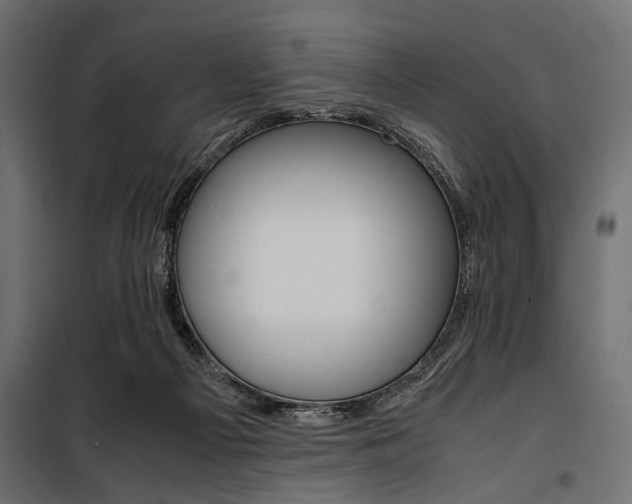 X0000100880121200806201156