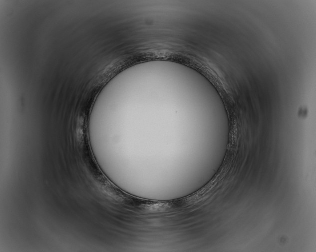 X0000100880122200806201156