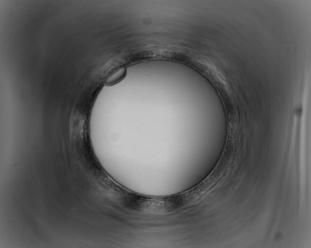 X0000100880123200806201156