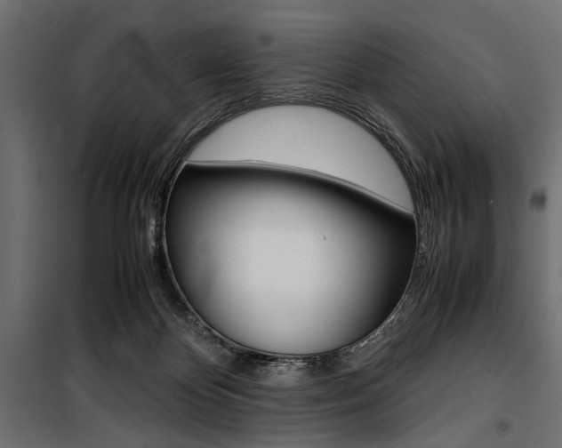 X0000100880124200806201156