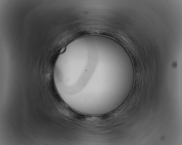 X0000100880125200806201156